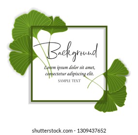 Vector Illustration ginkgo biloba leaves. Nature background with leaves.