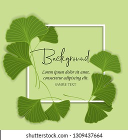 Vector Illustration ginkgo biloba leaves. Nature background with leaves.