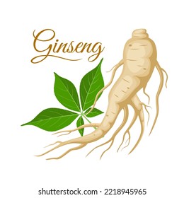 Vector illustration, ginseng root with leaves, isolated on white background, suitable for herbal medicine packaging product labels, or herbal medicine book covers.