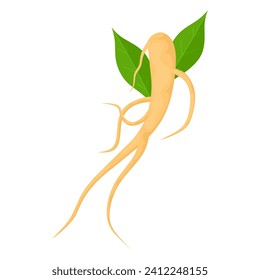 Ilustración vectorial de la raíz de ginseng con hojas, aislada en fondo blanco, ideal para etiquetas de productos y medicina herbaria.