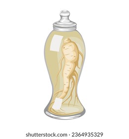 Vector illustration, ginseng soaked with wine in glass jar, isolated on white background.