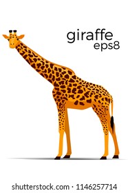 Vector illustration of a giraffe