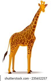 Vector illustration of a giraffe