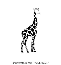  vector illustration of giraffe animal