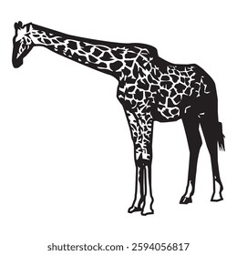 Vector illustration of giraffe animal, herbivorous animal types, on white background