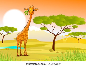 vector illustration Giraffe eating leaves in Africa at sunset