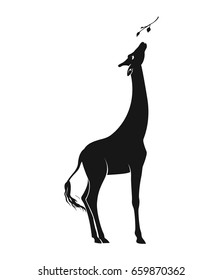 Vector illustration of giraffe eating leaves from tree, black silhouette isolated on white
