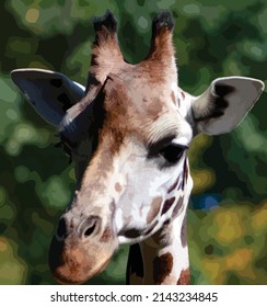 Vector illustration of a giraffe. Giraffe head portrait. Mouth, eyes nose, ears, nostrils, horns.