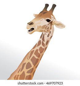 Vector illustration of a giraffe head portrait isolated on white background.