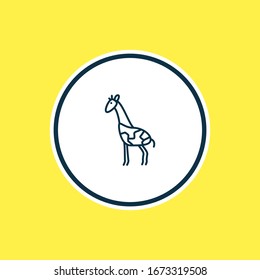 Vector illustration of giraffe icon line. Beautiful animals element also can be used as mammal icon element.