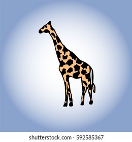 Vector illustration of giraffe. Isolated cartoon animal. For children, baby creation