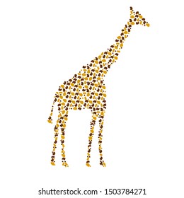 vector illustration of a giraffe isolated drawing