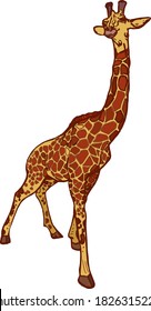 Vector illustration of a giraffe isolated on a white background. African animal for printing on packaging, menu, clothes, logo, blank for designers, element