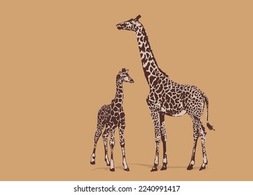 Vector illustration of an giraffe on isolated background. For icon, giraffe logo.