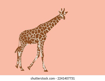 Ilustración vectorial de una jirafa sobre fondo aislado. Para el icono, el logotipo de la jirafa.