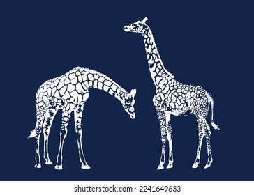 Vector illustration of an giraffe on isolated background. For icon, giraffe logo.