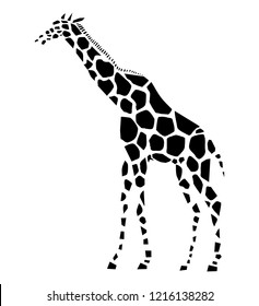  Vector illustration of giraffe, side view 