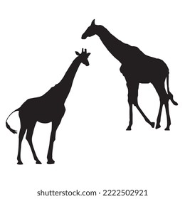 Vector Illustration of Giraffe Silhouette