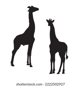 Vector Illustration of Giraffe Silhouette