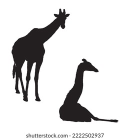 Vector Illustration of Giraffe Silhouette