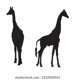 Vector Illustration of Giraffe Silhouette