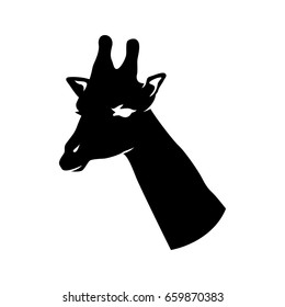 Vector illustration of giraffe silhouette portrait, head isolated on white