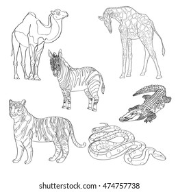 vector illustration giraffe, zebra, crocodile, camel, snake and tiger black line