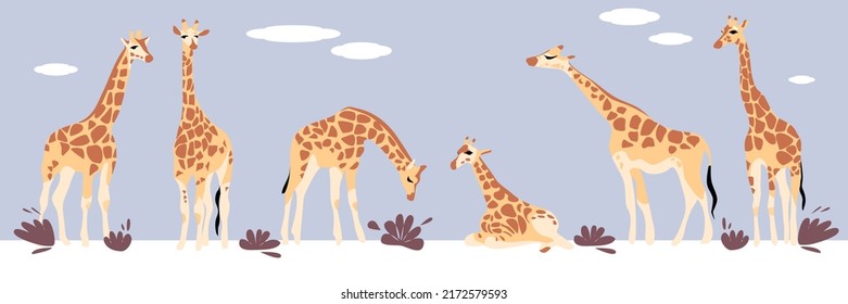 Vector illustration of giraffes. A set of giraffes in different poses. Isolated flat vector illustration on a light blue background. - Shutterstock ID 2172579593