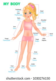 Vector illustration of a girl showing parts of the body. In English and Russian language.