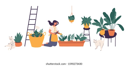 Vector illustration girl taking care of houseplants growing in planters. Young cute woman cultivating potted plants at home