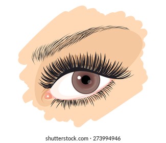 Vector illustration of a girl's brown eye