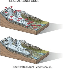 Vector illustration of glacial landforms, showing a glacier and associated moraine structures in a cutaway view, created for educational and scientific use on a white background.