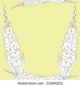 Vector illustration with gladiolus