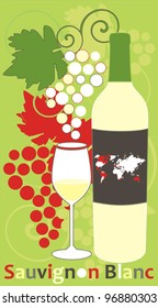 Vector illustration with glass and bottle of white  wine - Sauvignon blanc on decorative background with branch of grapes, ornamental text  and world map