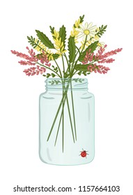 Vector illustration of glass jar with bouquet of wild flowers inside. Cute summer illustration. Heather, acacia, melilot, camomile, clover picture