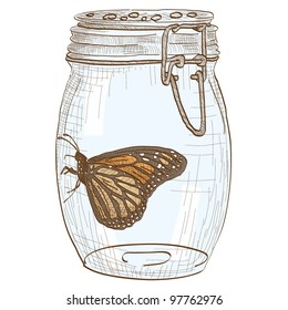 Vector illustration of a glass jar with a butterfly in it
