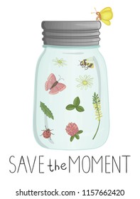 Vector illustration of glass jar with insects and flowers inside. Cute summer illustration. Save the moment. Moth, butterfly, bee, bumblebee, ladybug, camomile, clover picture