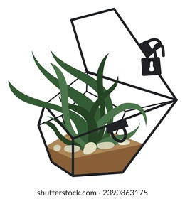 Vector illustration with a glass plant terrarium of a florarium highlighted on a white background. A plant in a geometric flower pot in a flat style. A plant in a cage with an open lock, a glass cage