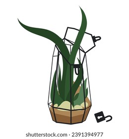 Vector illustration with a glass plant terrarium of a florarium highlighted on a white background. A flower in a geometric flower pot in a flat style. A plant in a cage with an open lock, a glass cage