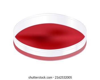 Vector illustration of glass or plastic Petri dish or Petri plate with blood or blood agar. Growth medium that is produced by adding blood to agar. Biological glassware isolated on a white background.