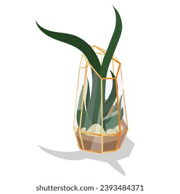 Vector illustration with a glass terrarium of a florarium highlighted in the background. A plant in a geometric flower pot in a flat style. The plant is in a golden glass cage, a container. isolated