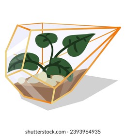 Ilustración vectorial con un terrario de vidrio de un florario resaltado en el fondo. Flores en maceta de flores geométricas en un estilo plano. La planta está aislada en una jaula de vidrio dorada