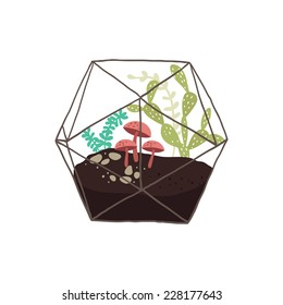 Vector illustration of a glass terrarium with plants