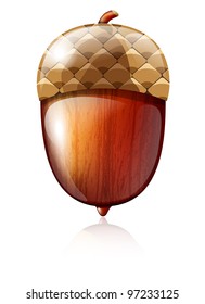 Vector illustration of glossy acorn on white background