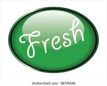 Vector illustration of a glossy green button