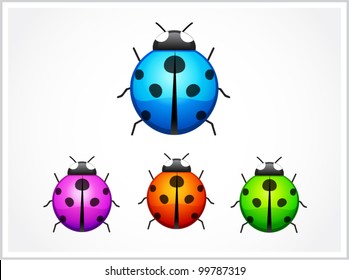 Vector illustration of glossy ladybird in different color