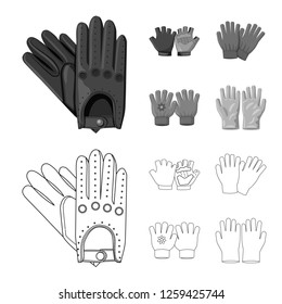 Vector illustration of glove and winter icon. Set of glove and equipment stock vector illustration.