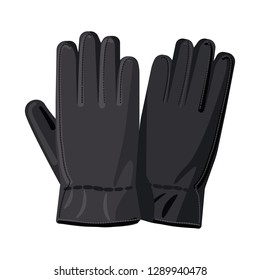 Vector illustration of glove and winter icon. Collection of glove and equipment vector icon for stock.