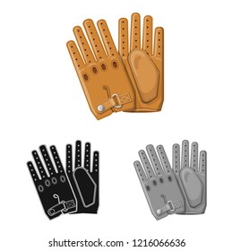 Vector illustration of glove and winter logo. Set of glove and equipment stock vector illustration.