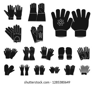 Vector illustration of glove and winter logo. Collection of glove and equipment vector icon for stock.